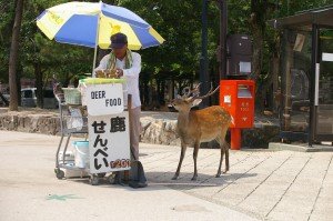 Miyajima Island, near Hiroshima